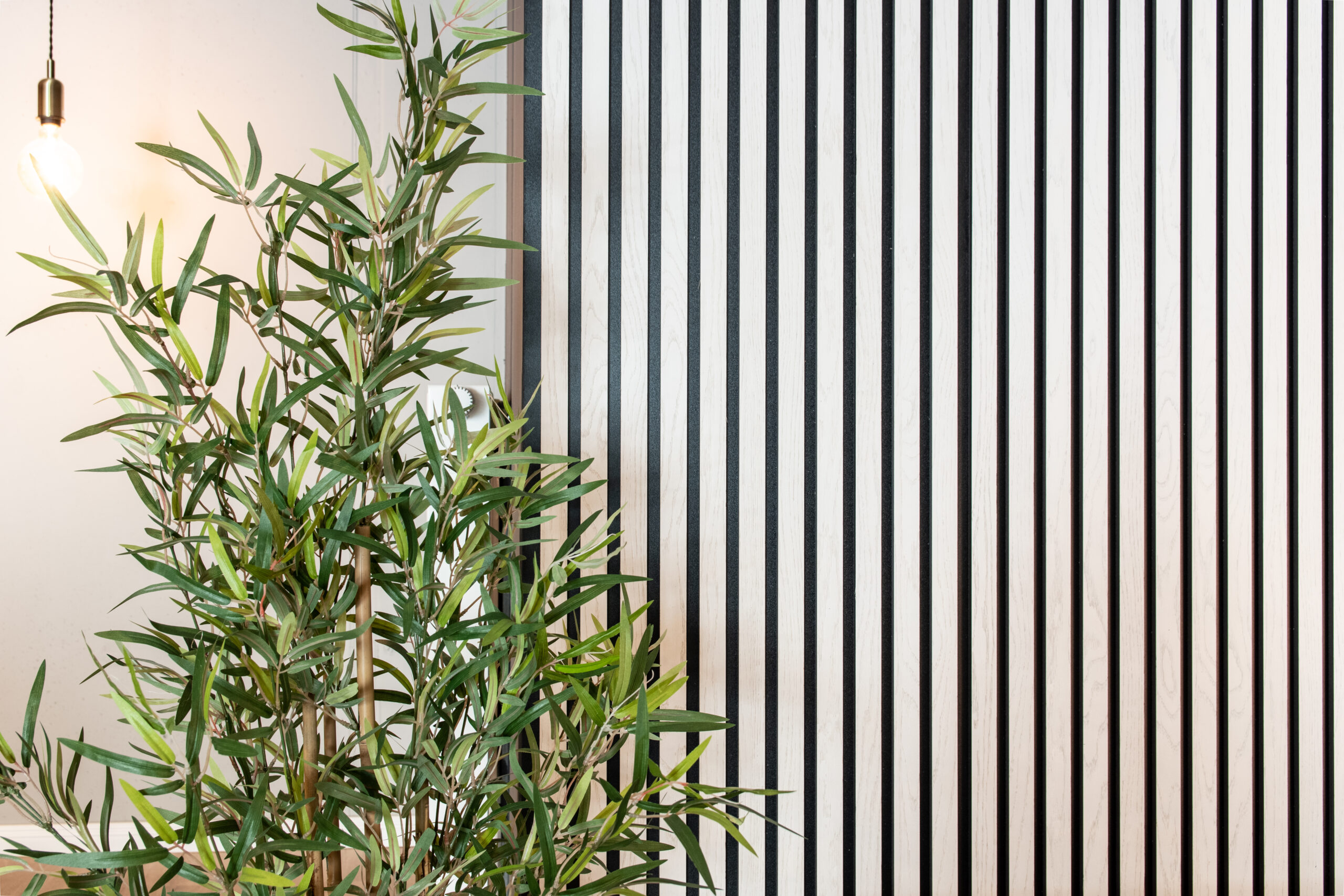 Indoor potted plant with narrow green leaves beside a white wall and a tall black-and-white striped panel, with a warm hanging bulb nearby.